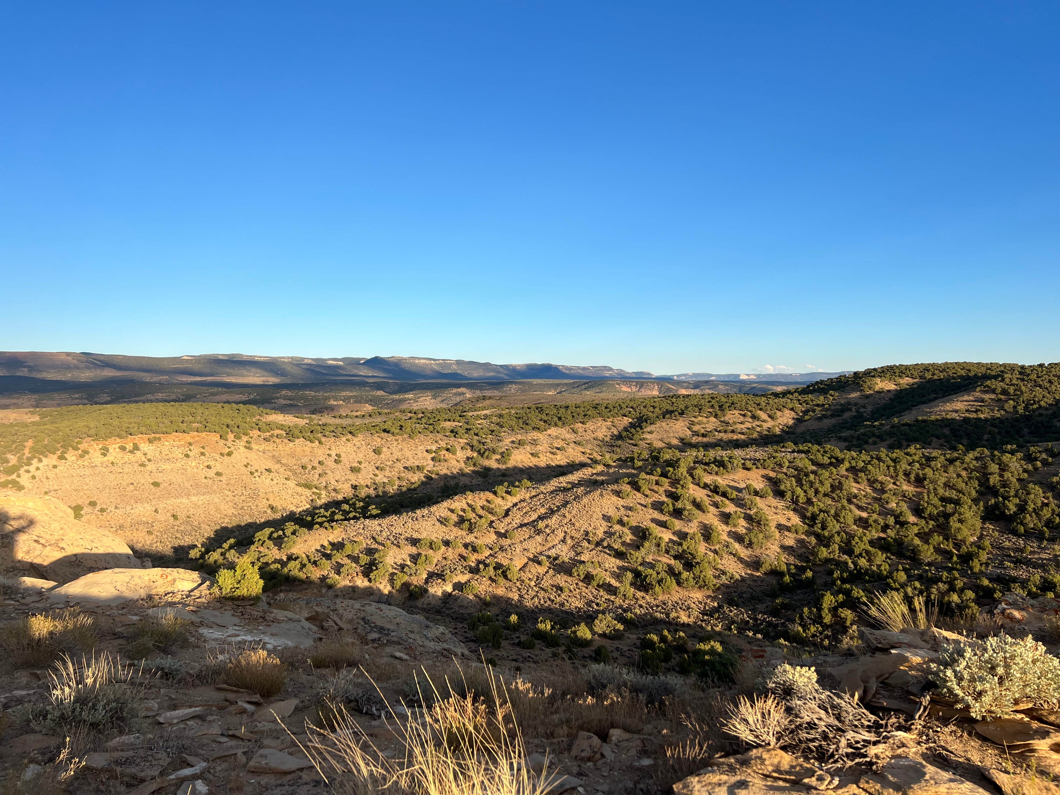 Camper-submitted photo at BLM Dragon Trail - County Rd #23 dispersed near Dinosaur, CO