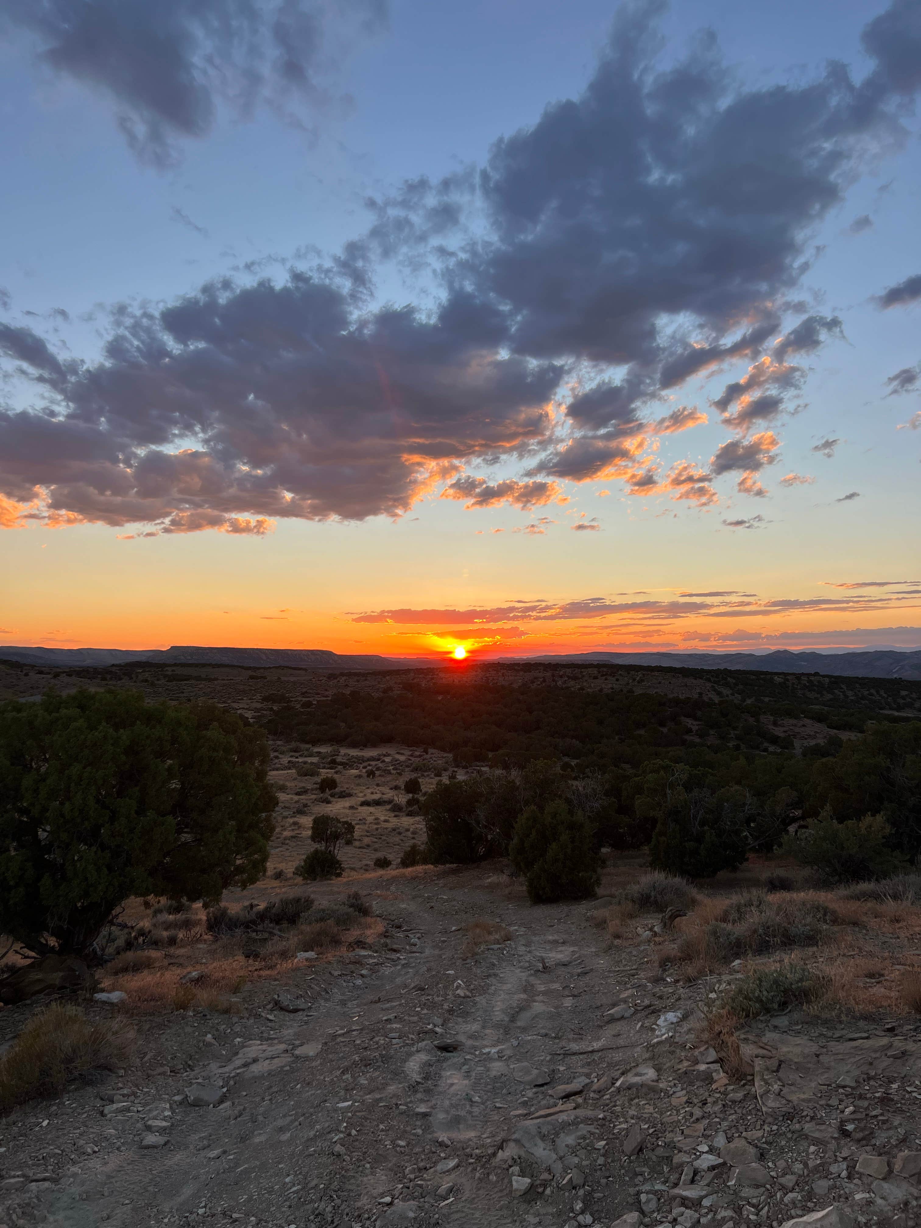 Camper-submitted photo at BLM Dragon Trail - County Rd #23 dispersed near Dinosaur, CO