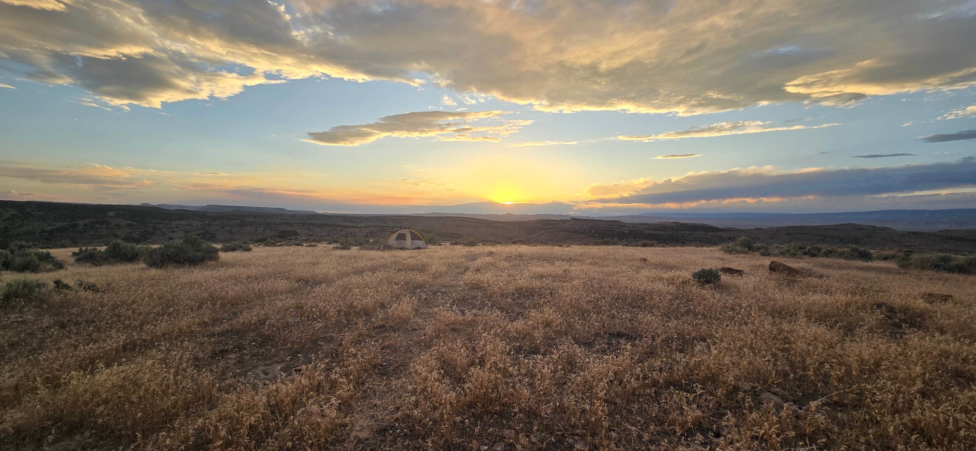 Camper-submitted photo at BLM Dragon Trail - County Rd #23 dispersed near Dinosaur, CO