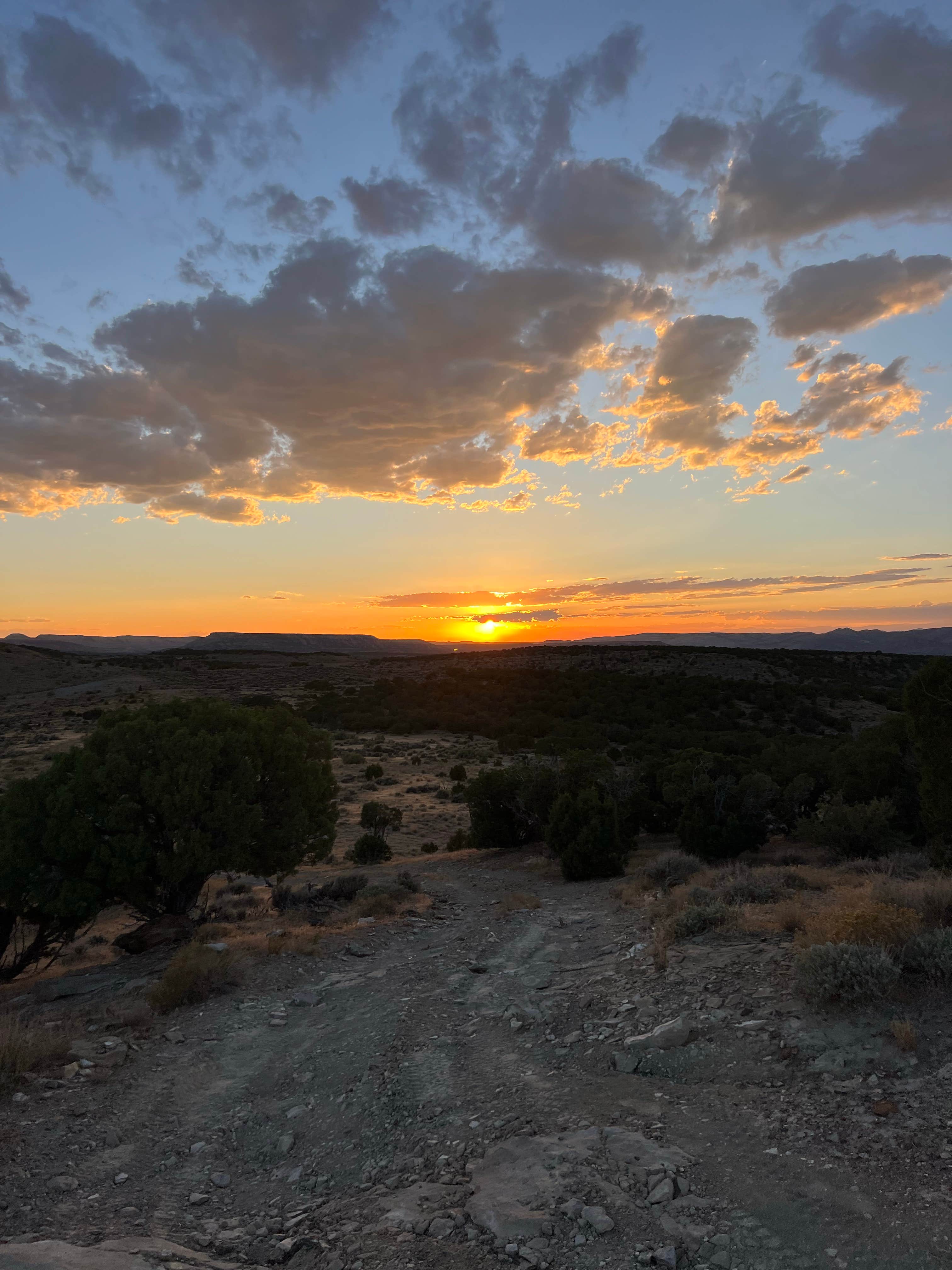 Ashleigh Z.'s photo of a dispersed camping area at BLM Dragon Trail - County Rd #23 dispersed near Dinosaur, CO