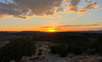 Ashleigh Z.'s photo of a dispersed camping area at BLM Dragon Trail - County Rd #23 dispersed near Meeker, CO