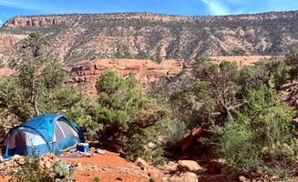 Hannah R.'s photo at The Potholes Recreation Site near Grand Mesa, Uncompahgre and Gunnison National Forests