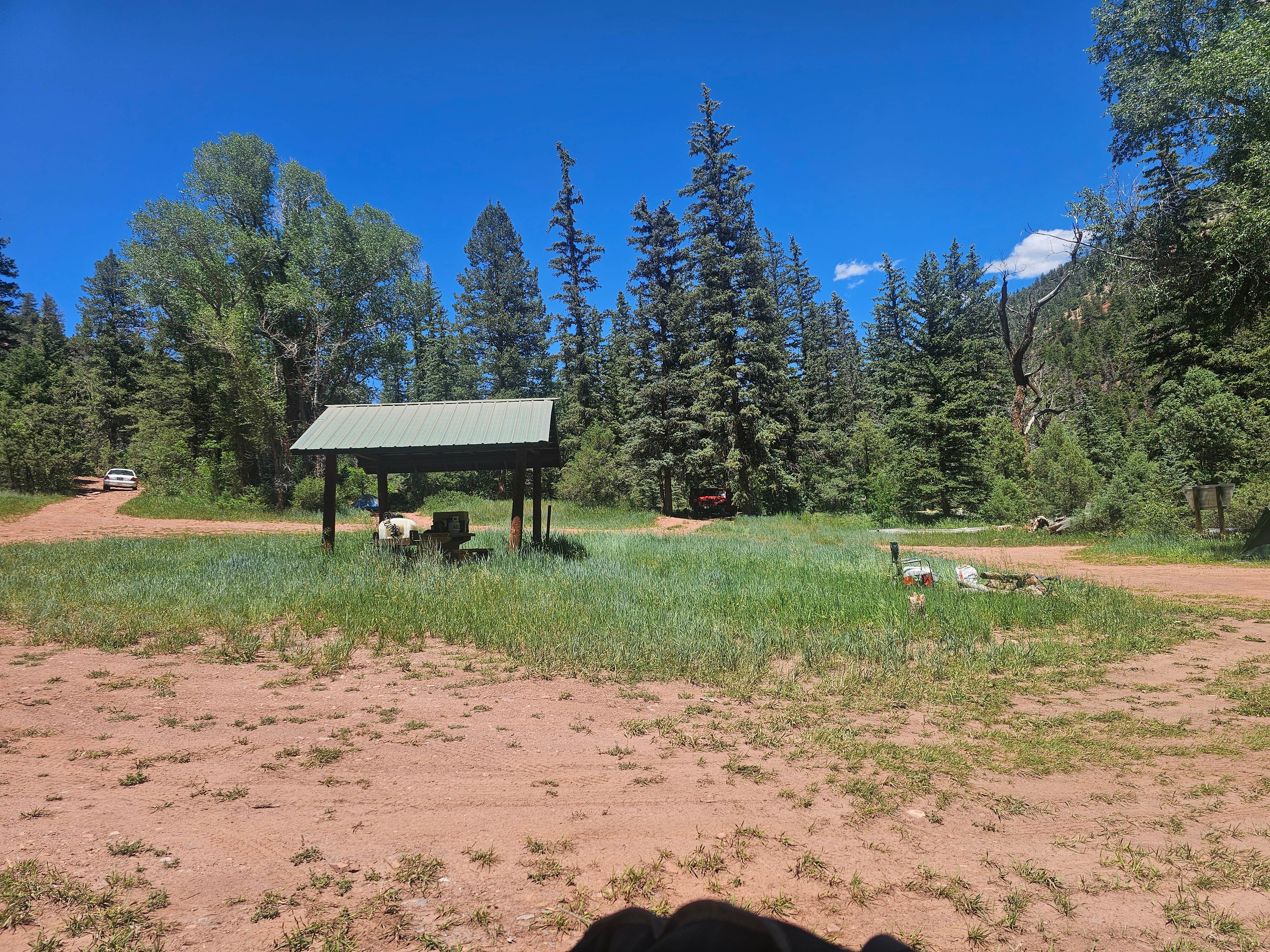 Camping near Caddis Flats: Fall Creek Campsite, Placerville, Colorado