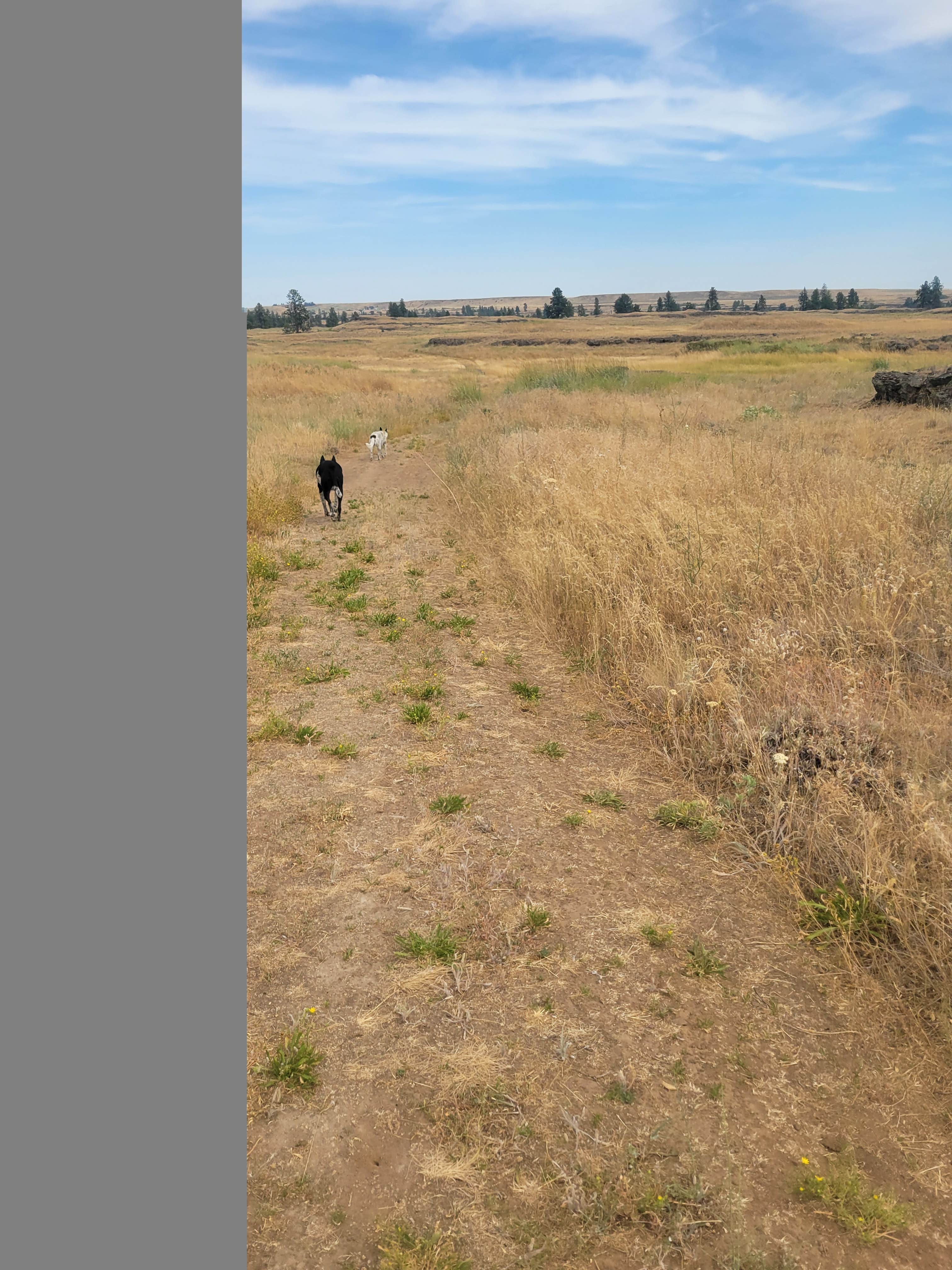 goose10091203's photo of camping with pets at Fishtrap Recreation Area near Steptoe, WA