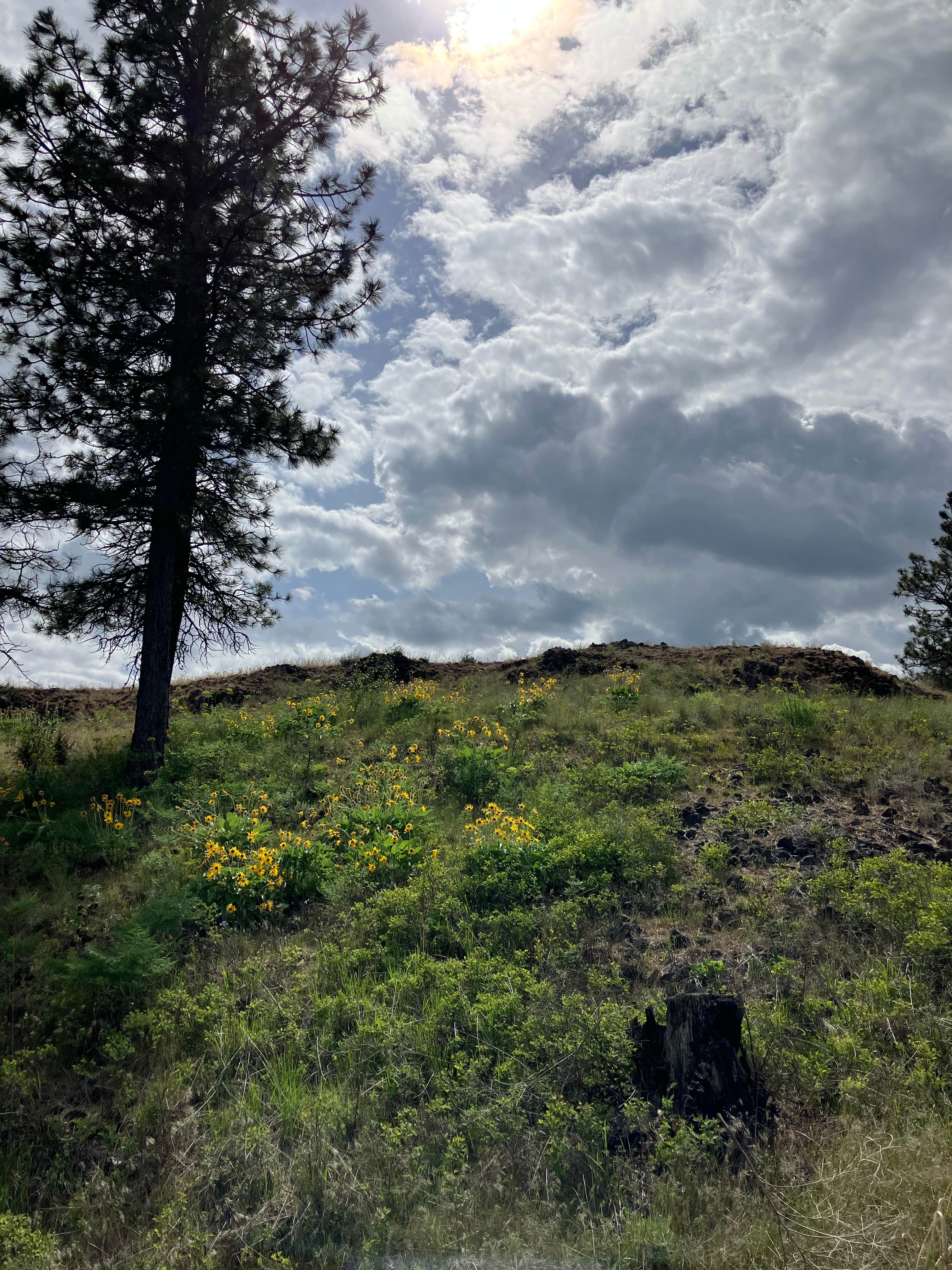 Camper-submitted photo at Fishtrap Recreation Area near St. John, WA