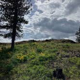 Review photo of Fishtrap Recreation Area by Chandra B., May 27, 2025