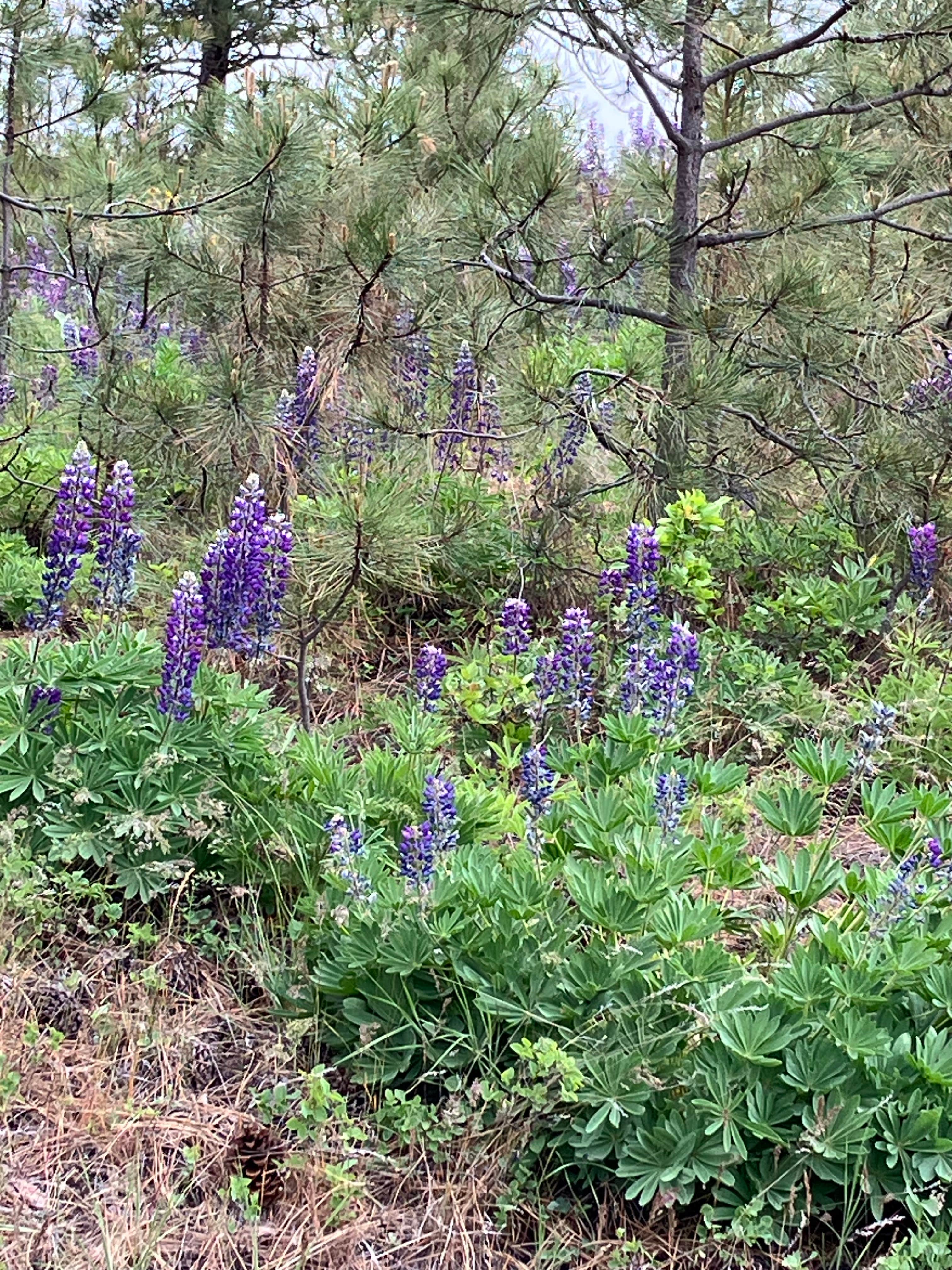 Camper-submitted photo at Fishtrap Recreation Area near St. John, WA
