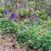 Review photo of Fishtrap Recreation Area by Chandra B., May 27, 2025