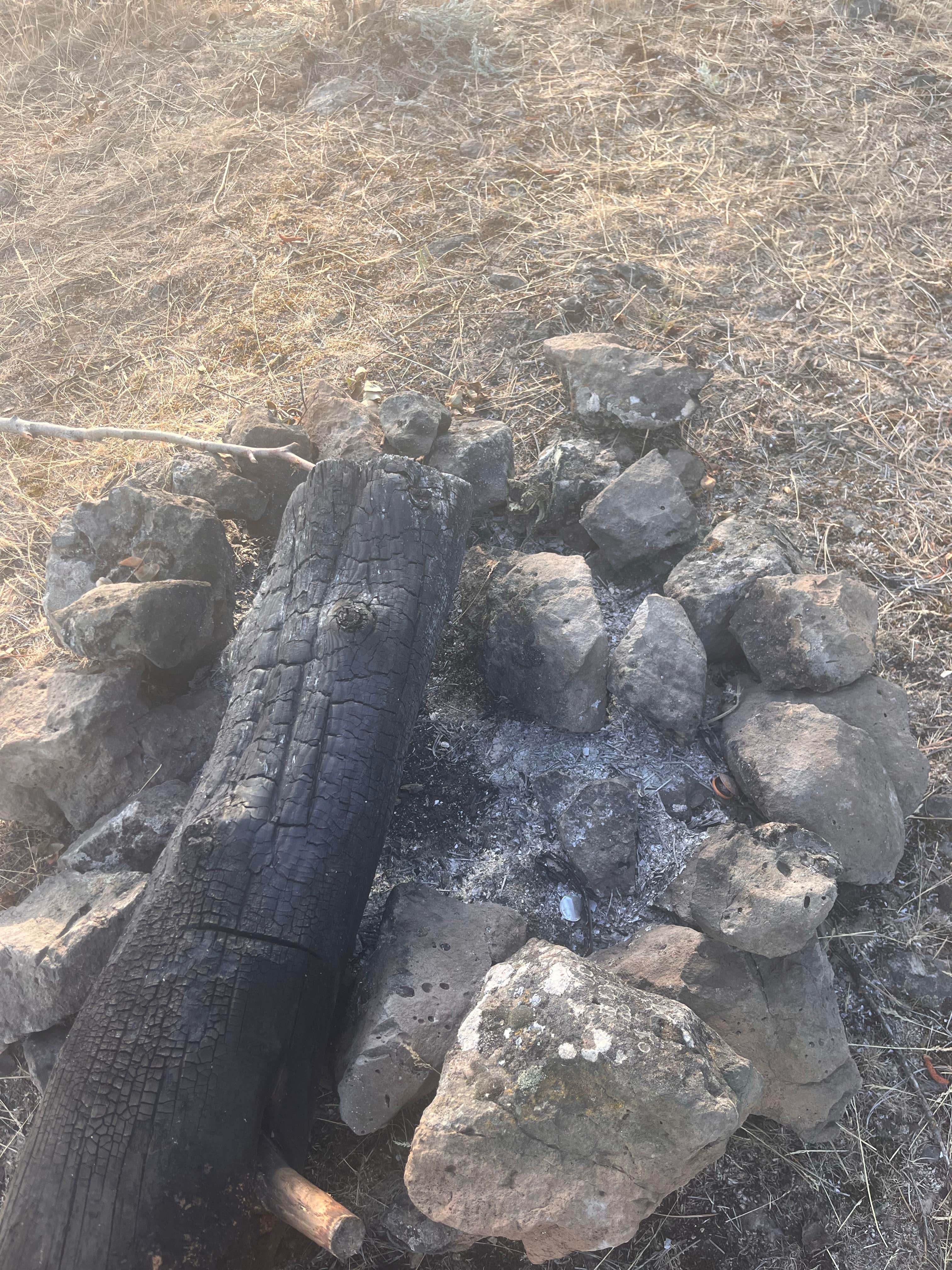 Camper-submitted photo at Fishtrap Recreation Area near St. John, WA