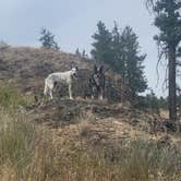 Review photo of Fishtrap Recreation Area by goose10091203 , July 19, 2025