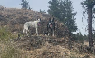 goose10091203's photo of camping with pets at Fishtrap Recreation Area near Lamont, WA