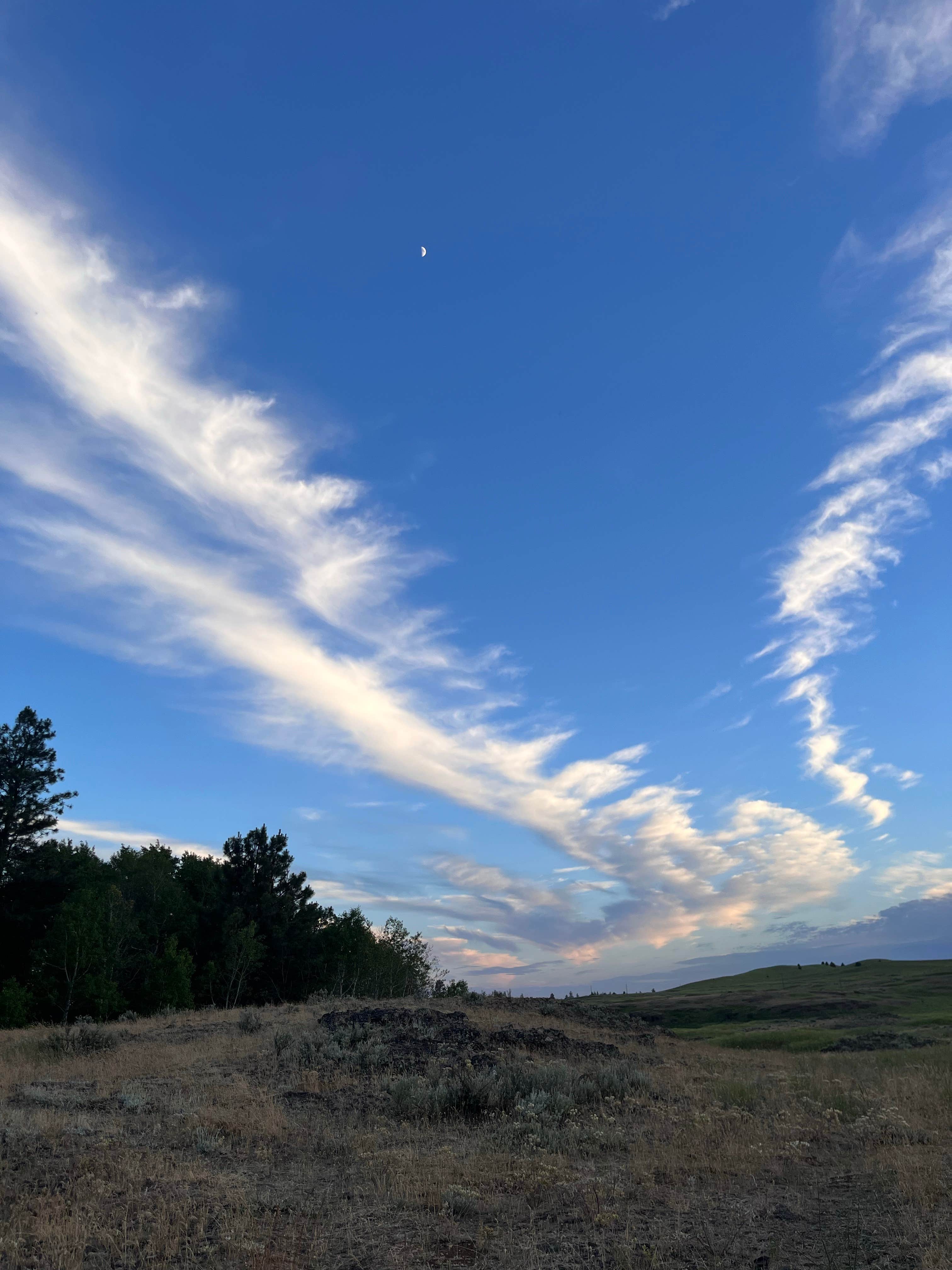 Camper submitted image from Fishtrap Recreation Area - 4