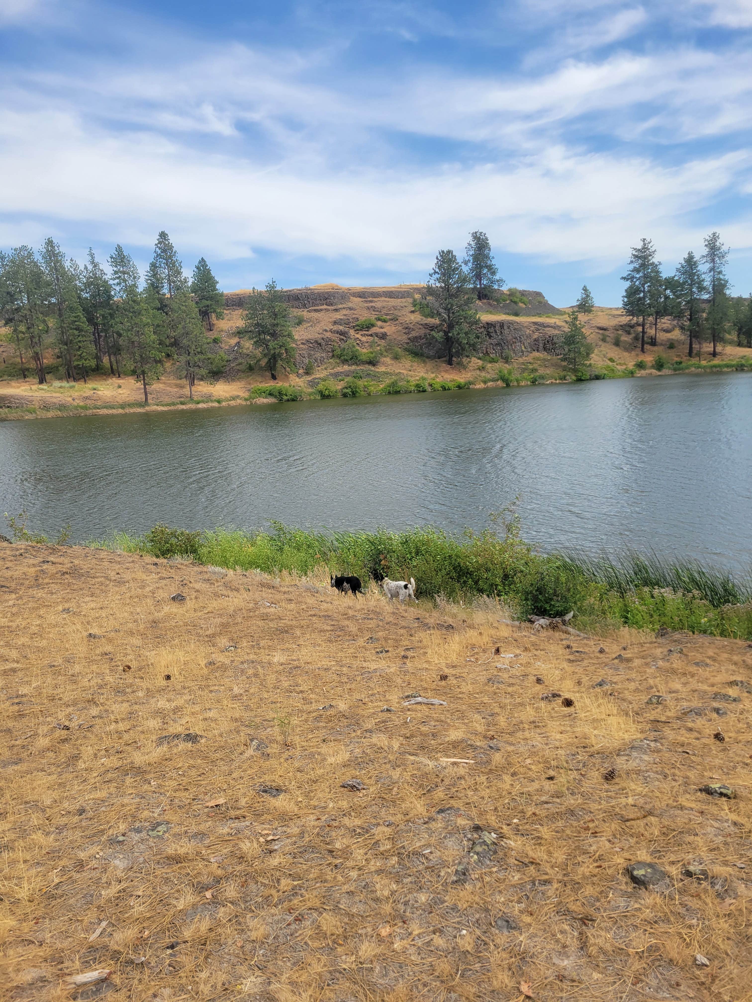 goose10091203's photo of a dispersed camping area at Fishtrap Recreation Area near Nine Mile Falls, WA