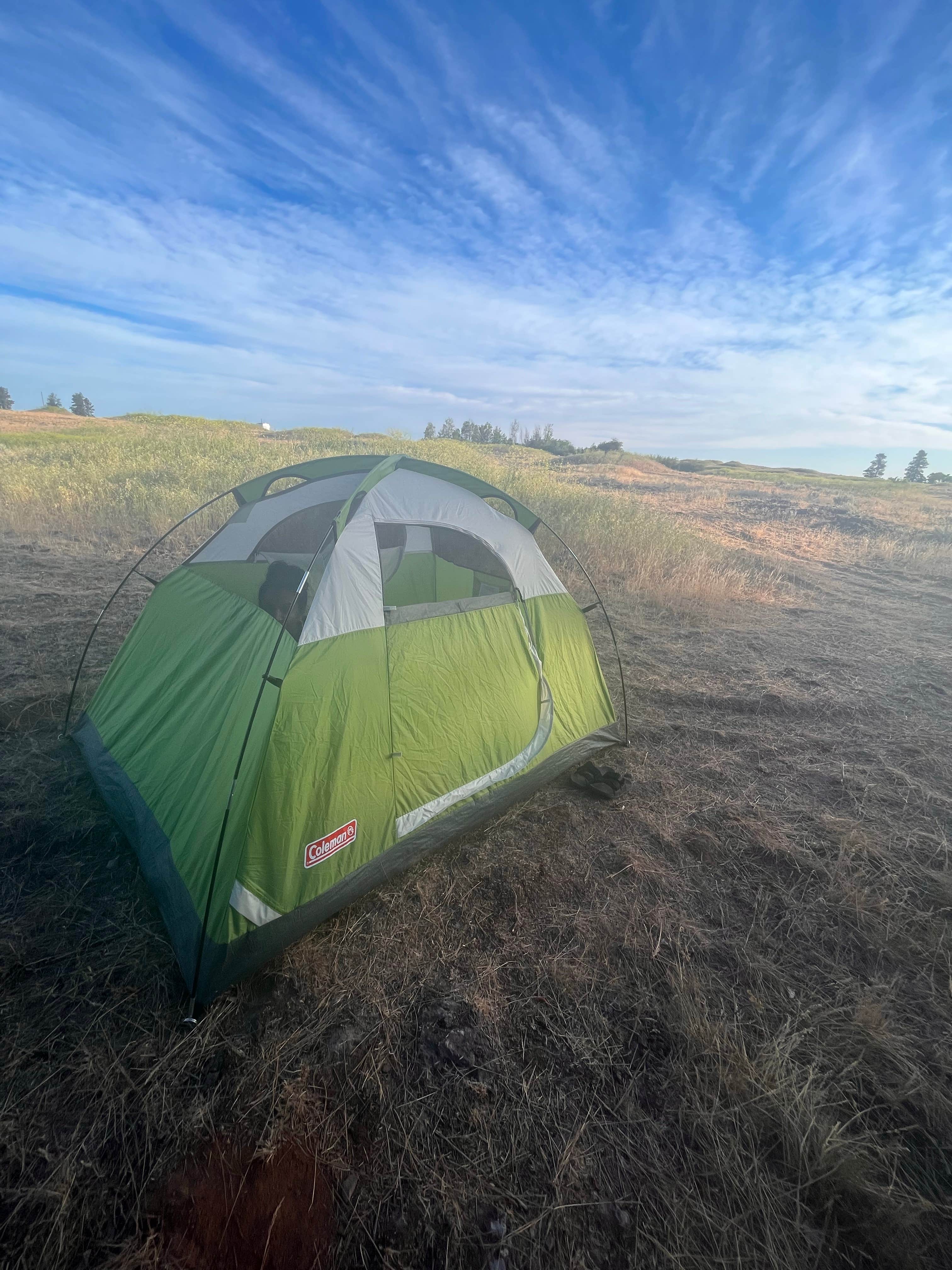 Linnea W.'s photo at Fishtrap Recreation Area near St. John, WA