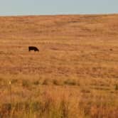 Review photo of Fishtrap Recreation Area by Glen B., July 31, 2026