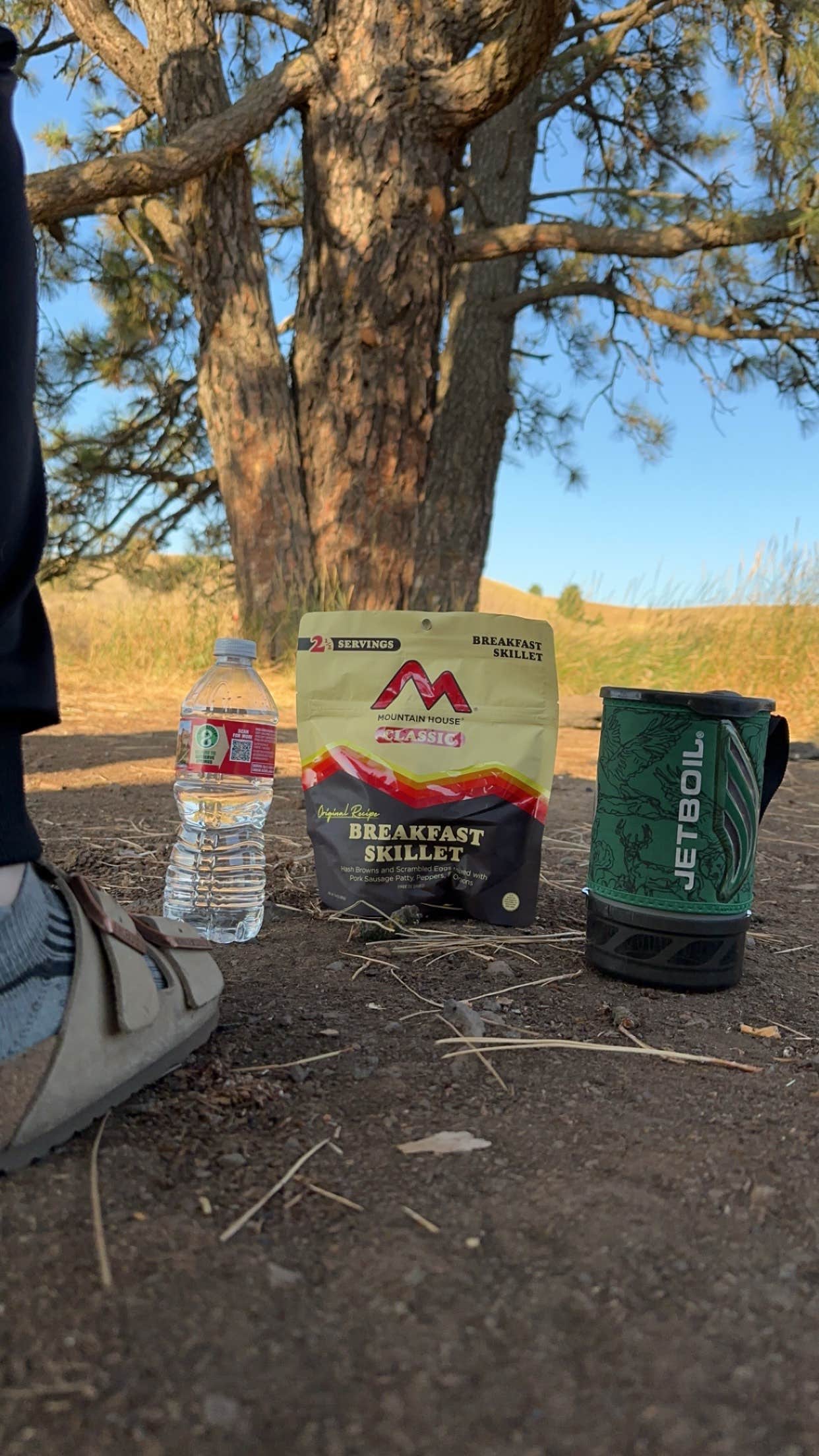 Camper submitted image from Fishtrap Recreation Area - 1