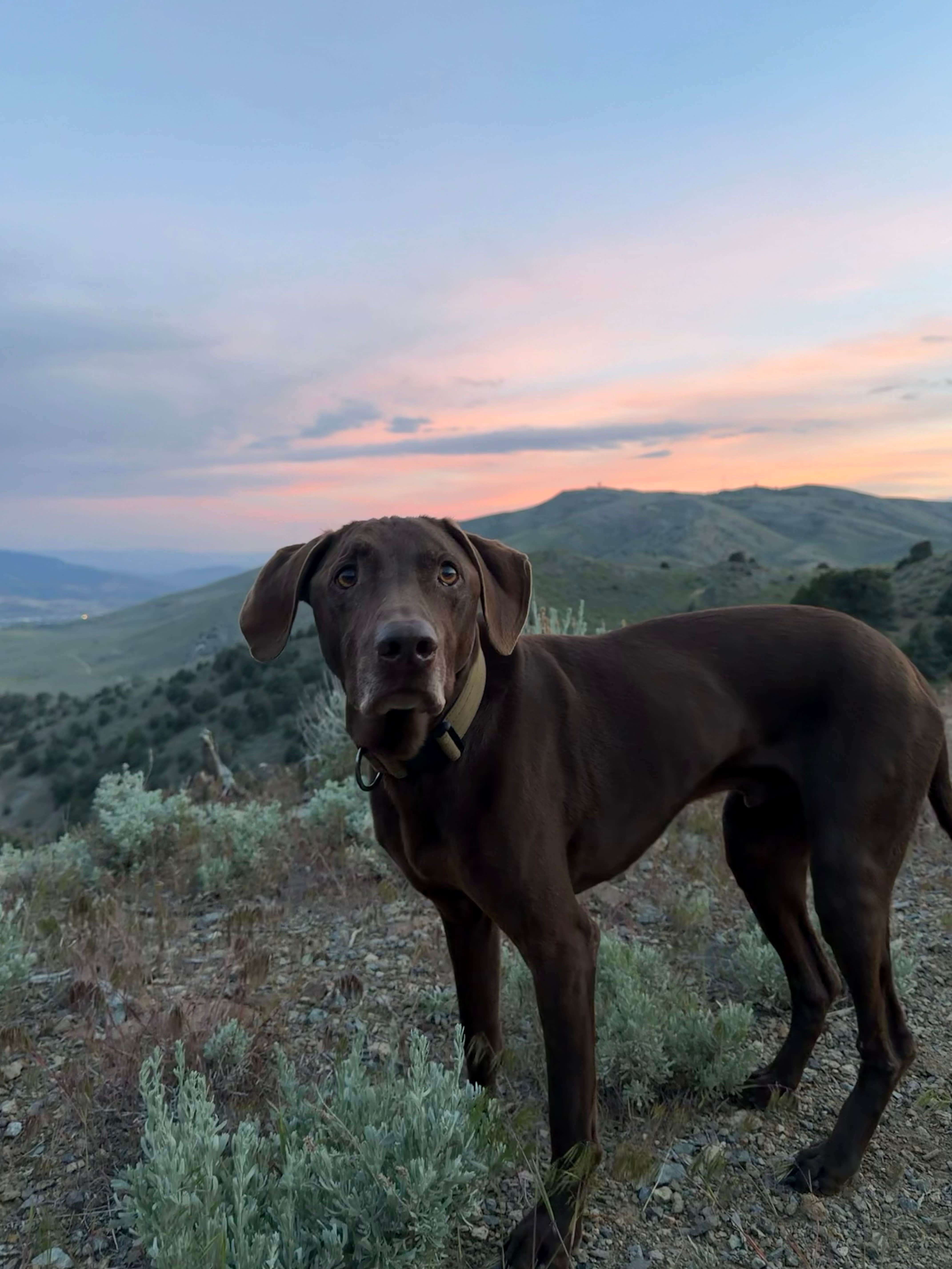 Camper-submitted photo at BLM FLATTOP near Incline Village-Crystal Bay, NV