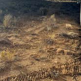 Review photo of Horse Camp Near Belly of the Dragon Trail by Samuel H., October 28, 2025