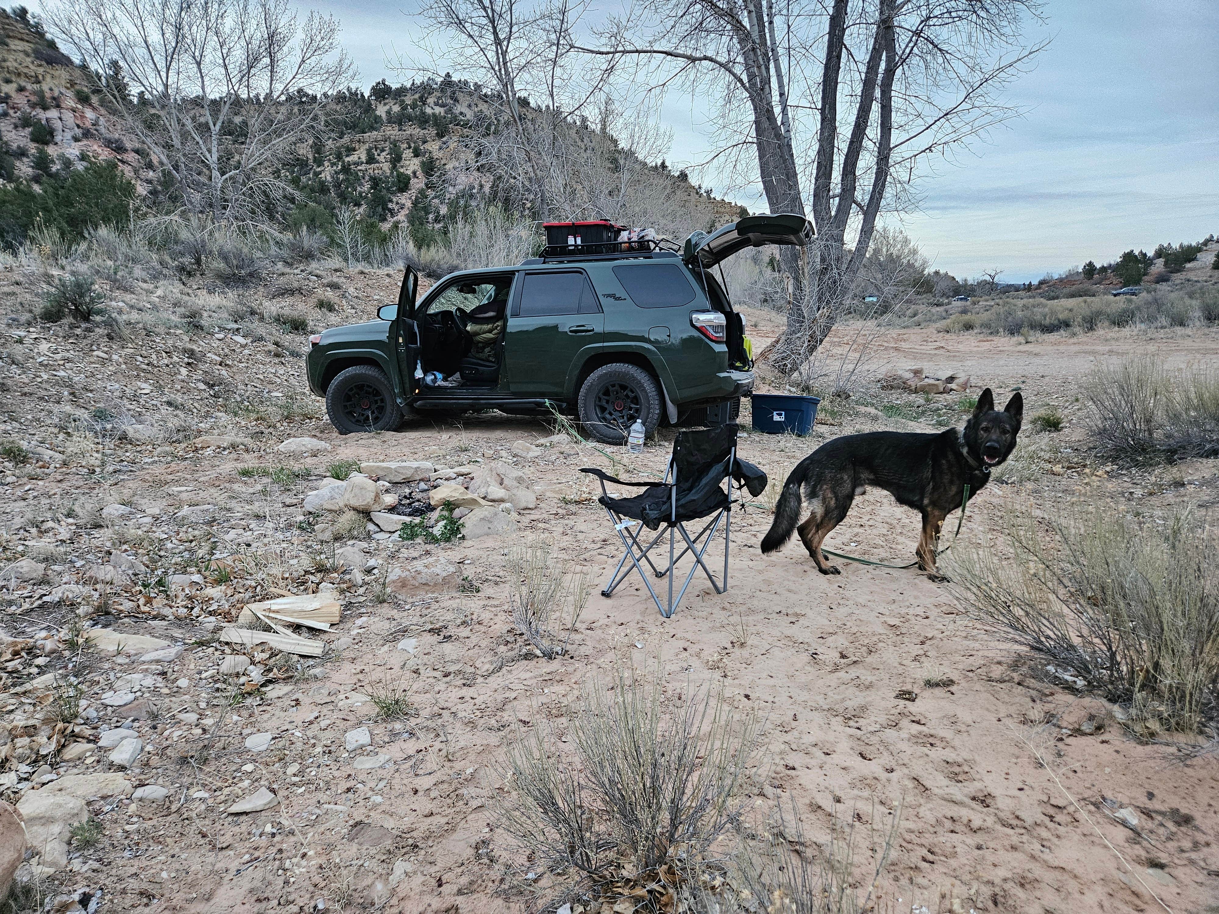 Camper submitted image from Horse Camp Near Belly of the Dragon Trail - 4