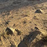 Review photo of Horse Camp Near Belly of the Dragon Trail by Samuel H., October 28, 2025