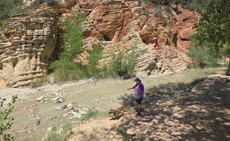mark F.'s photo of camping with pets at Horse Camp Near Belly of the Dragon Trail near Kanab, UT