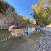 Review photo of Horse Camp Near Belly of the Dragon Trail by Imerie T., October 14, 2024