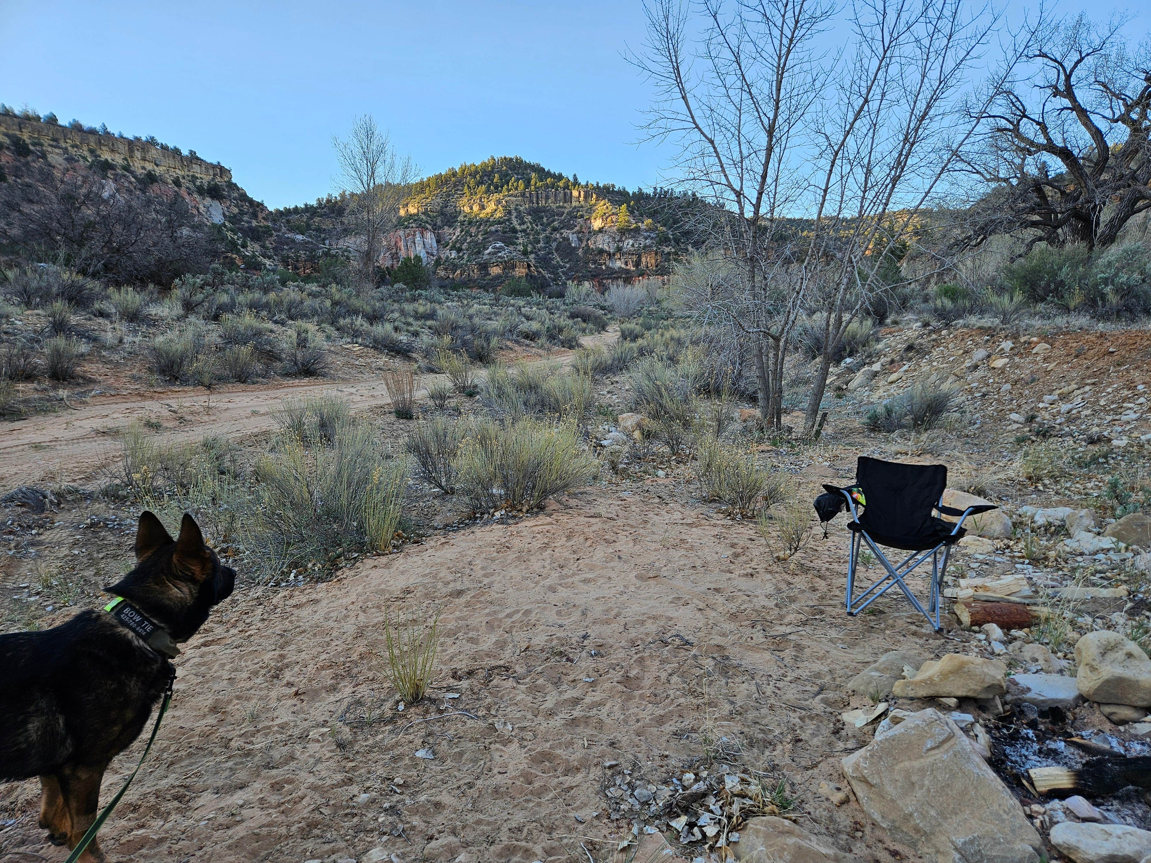 Chelsey B.'s photo of camping with pets at Horse Camp Near Belly of the Dragon Trail near Kanab, UT