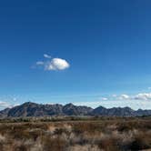 Review photo of BLM Imperial Dam Long Term Visitor Area (LTVA) by Paul W., January 11, 2026
