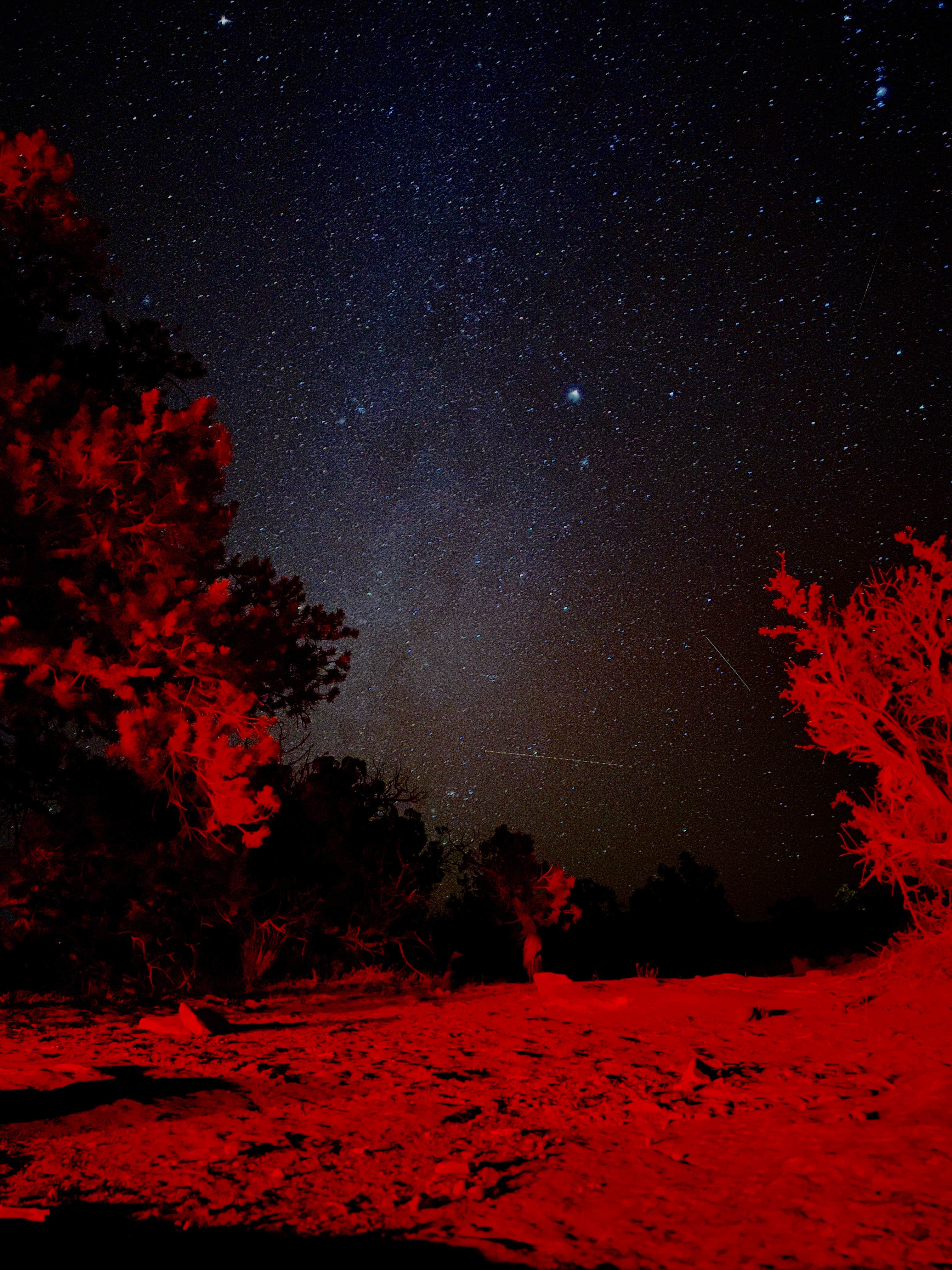 Camper submitted image from BLM Intrepid Well Road Dispersed Camping - 1