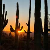 Review photo of BLM Ironwood Forest National Monument - Reservation Road Dispersed Camping by Teresa A., January 13, 2025