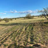 Review photo of BLM Ironwood Forest National Monument - Reservation Road Dispersed Camping by Jennifer M., March 20, 2024