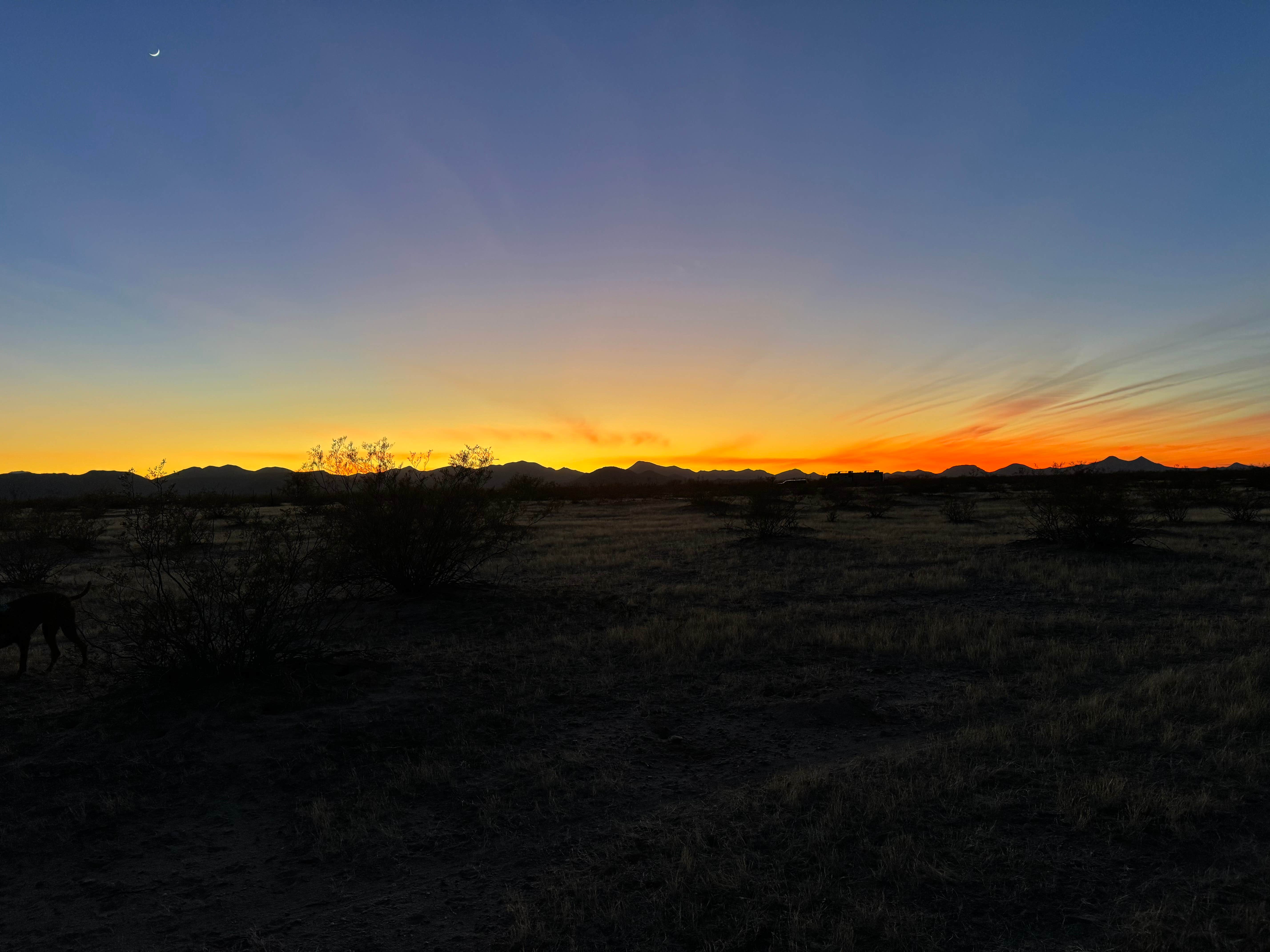Sarah M.'s photo of camping with pets at BLM Ironwood Forest National Monument - Reservation Road Dispersed Camping near Topawa, AZ