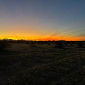 Review photo of BLM Ironwood Forest National Monument - Reservation Road Dispersed Camping by Sarah M., January 15, 2024