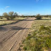 Review photo of BLM Ironwood Forest National Monument - Reservation Road Dispersed Camping by Jennifer M., March 20, 2024