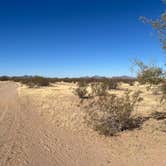 Review photo of BLM Ironwood Forest National Monument - Reservation Road Dispersed Camping by Teresa A., January 13, 2025