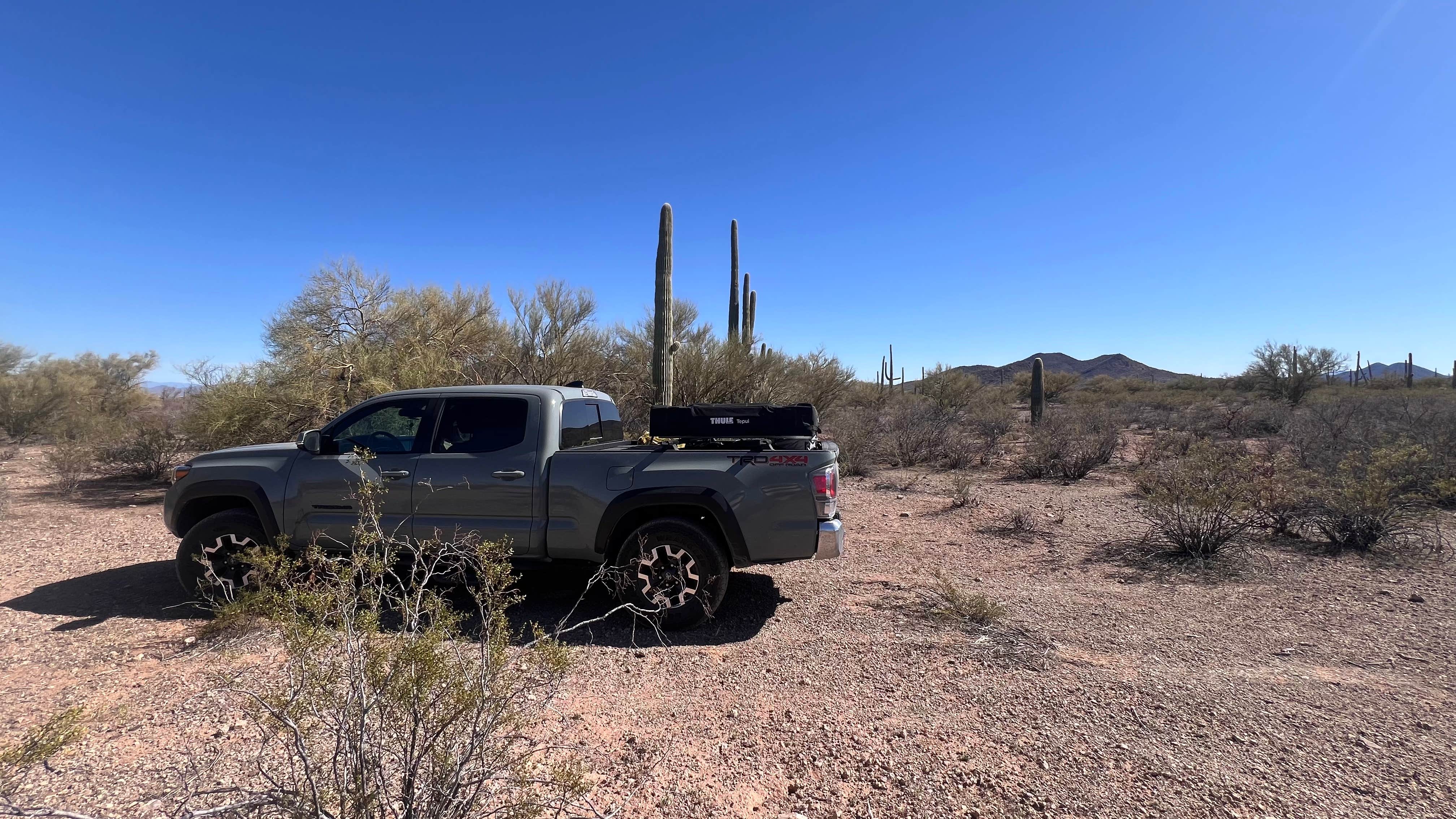 Camper-submitted photo at BLM Ironwood Monument - 2555 ft Knob Overlander 4x4 Dispersed Camping area near Marana, AZ