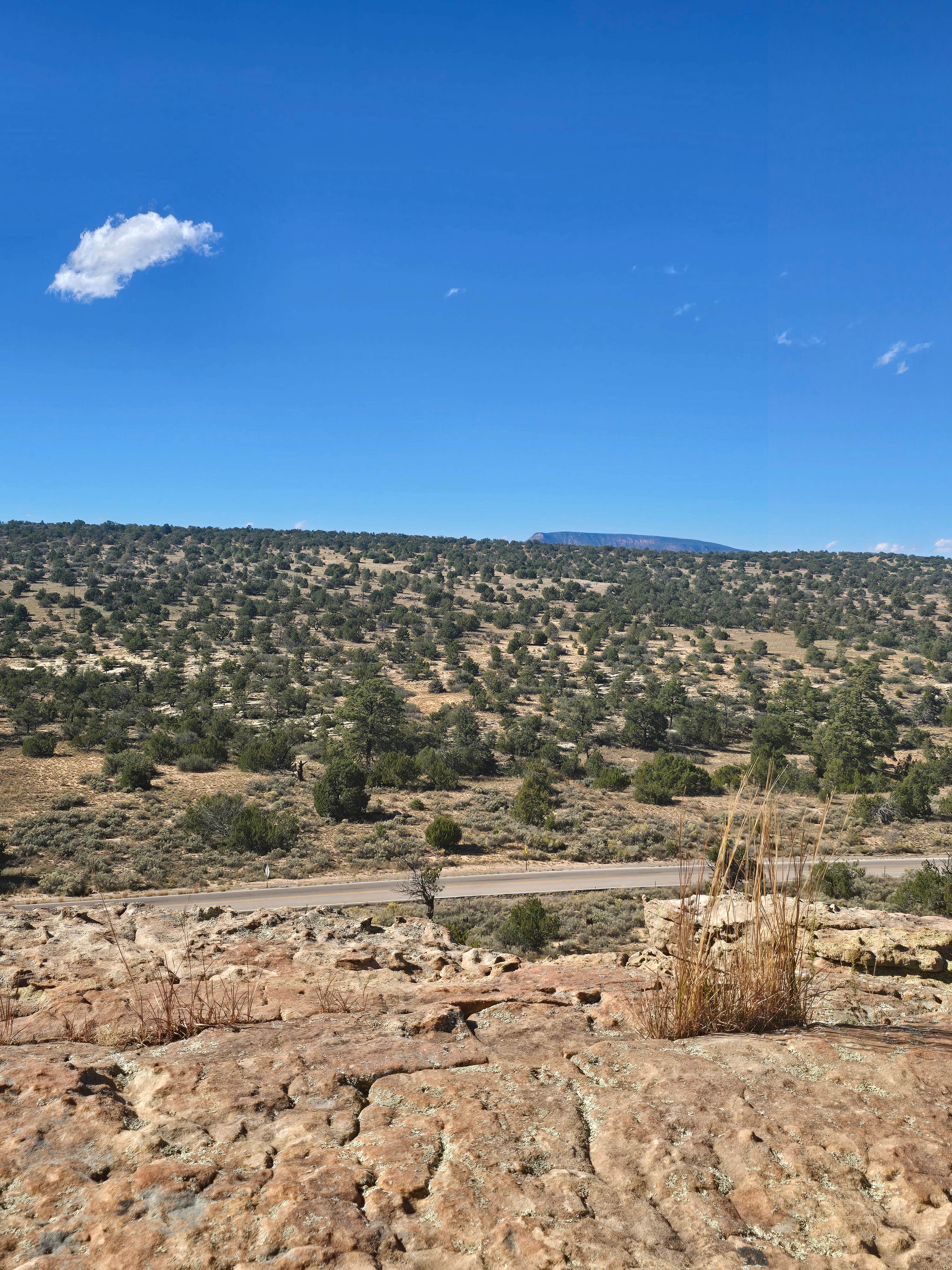 Camper-submitted photo at Joe Skeen Campground near San Fidel, NM