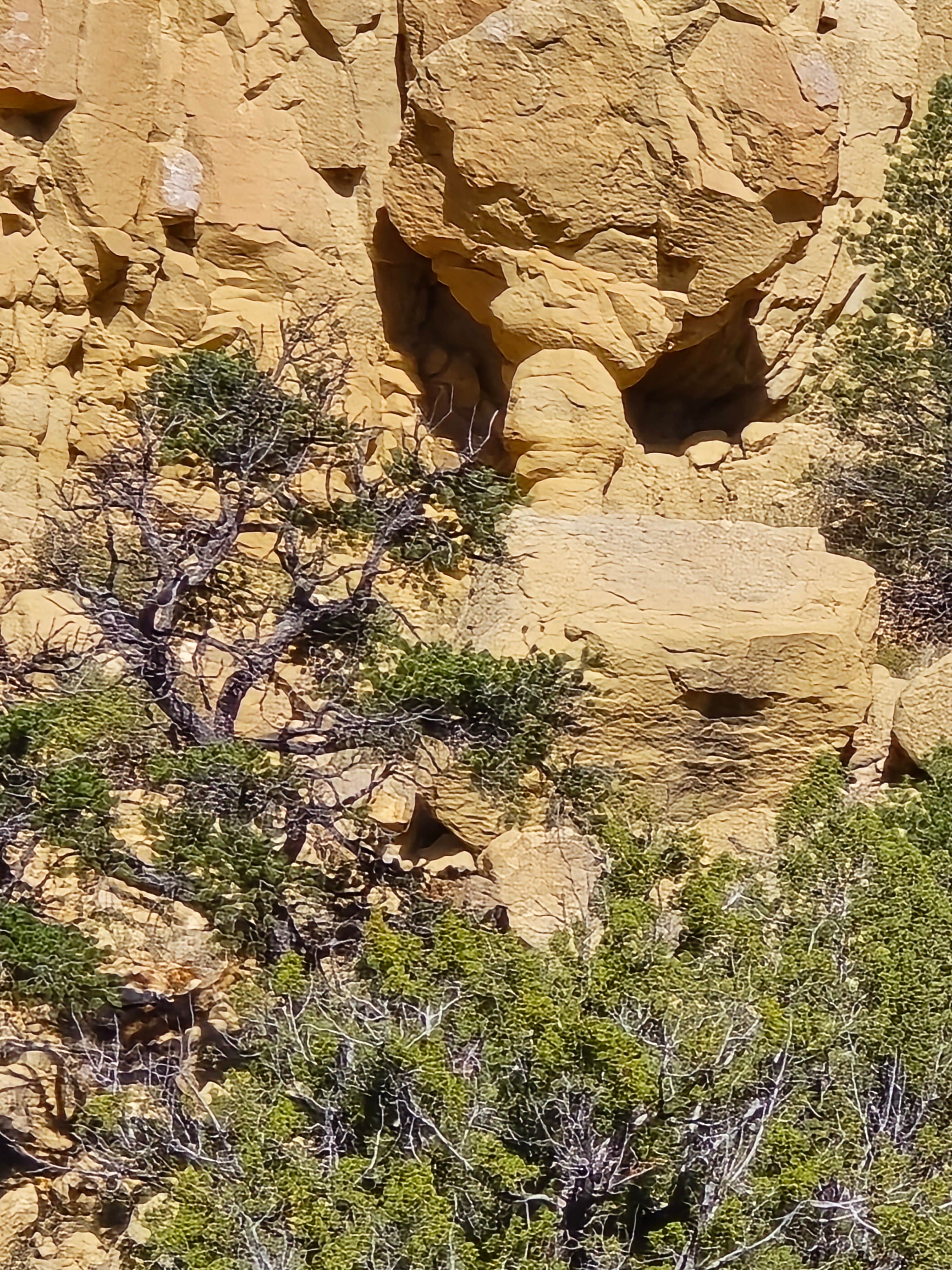 Camper-submitted photo at Joe Skeen Campground near San Fidel, NM