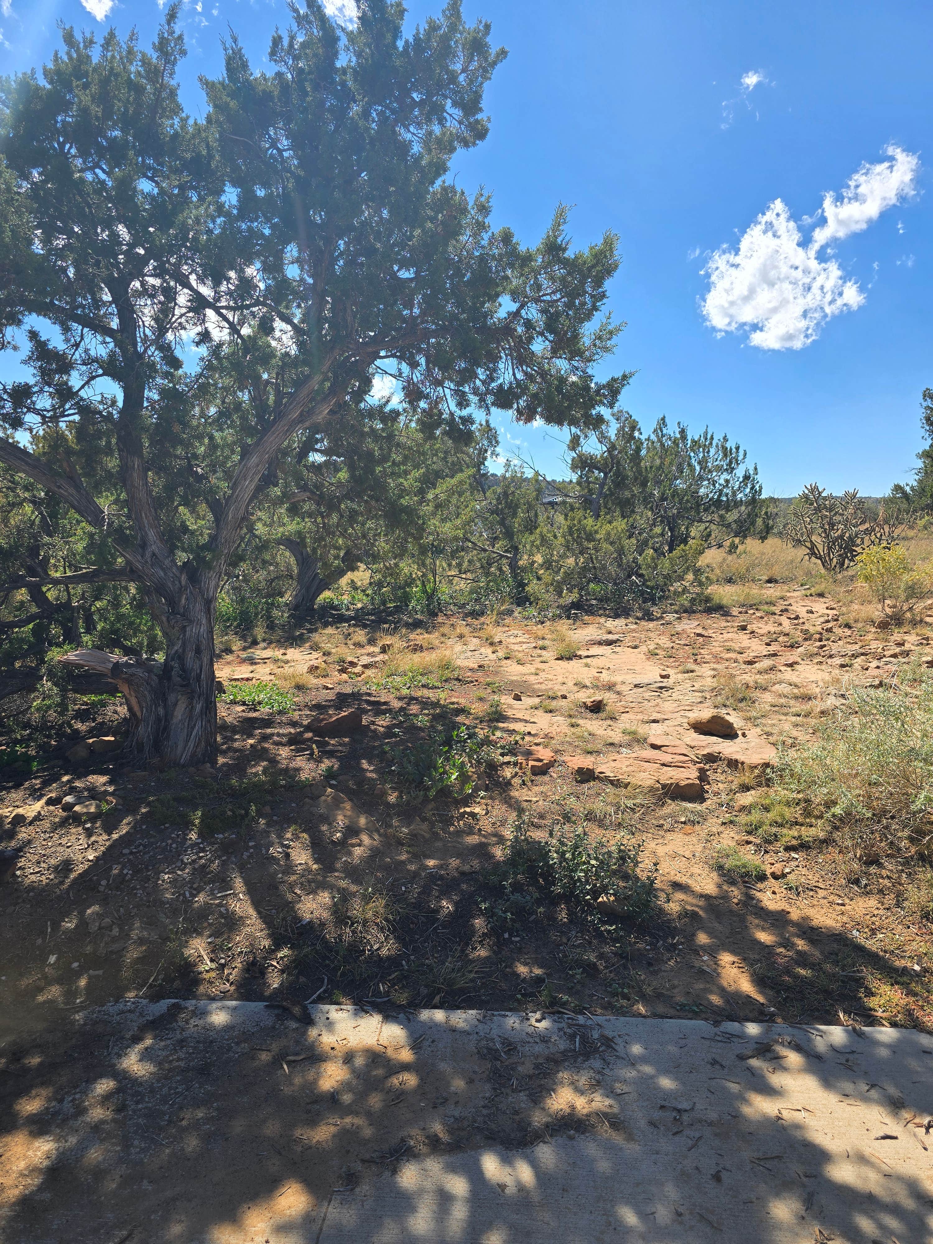 Camper-submitted photo at Joe Skeen Campground near San Fidel, NM
