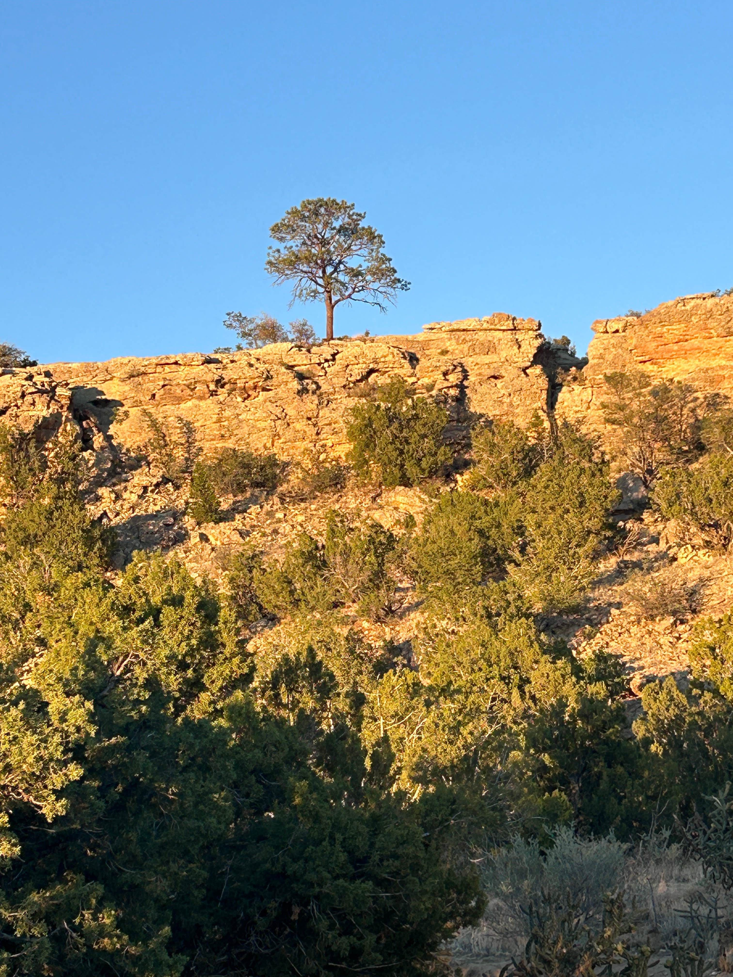 Camper-submitted photo at Joe Skeen Campground near San Mateo, NM
