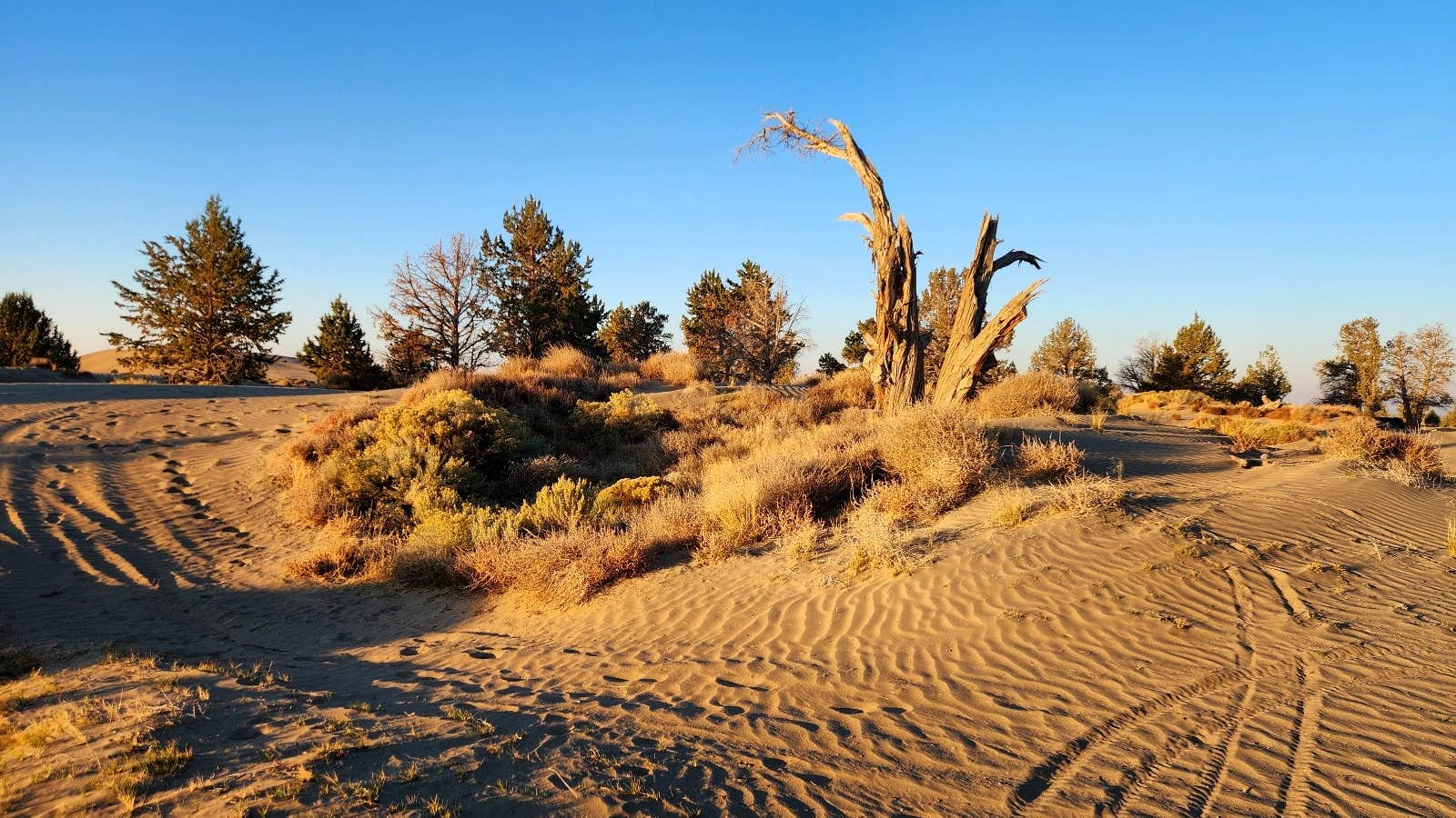 Camper-submitted photo at BLM Christmas Valley Sand Dunes near Christmas Valley, OR