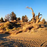 Review photo of BLM Christmas Valley Sand Dunes by Fred S., October 7, 2024