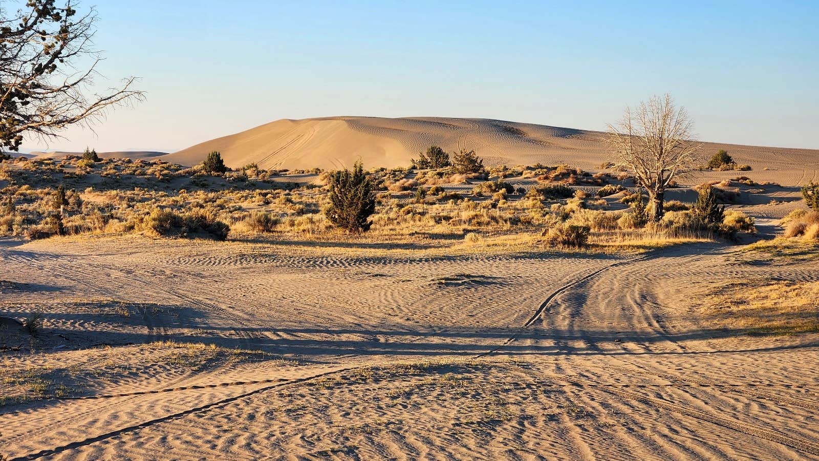 Camper-submitted photo at BLM Christmas Valley Sand Dunes near Christmas Valley, OR