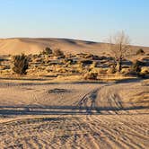 Review photo of BLM Christmas Valley Sand Dunes by Fred S., October 7, 2024