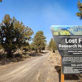 Review photo of BLM Christmas Valley Sand Dunes by Fred S., October 7, 2024