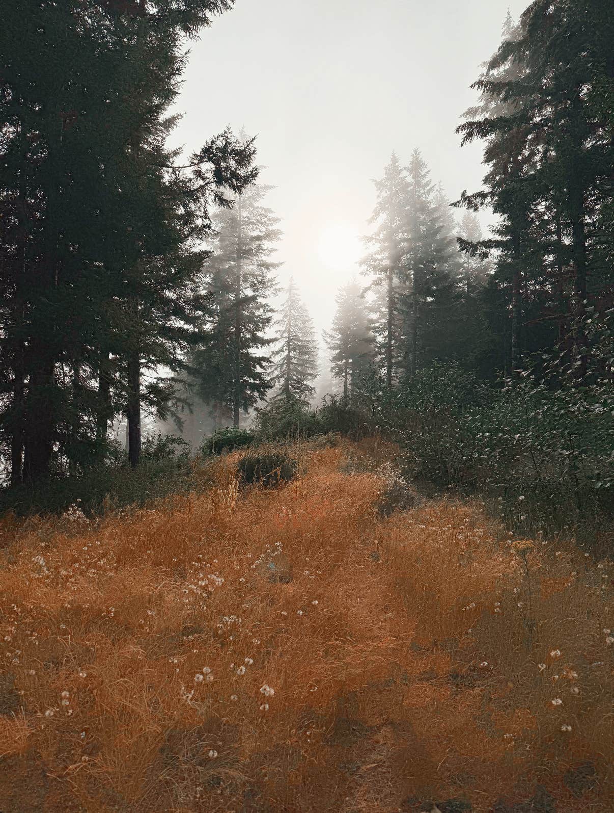 BLM Kentucky Falls Road