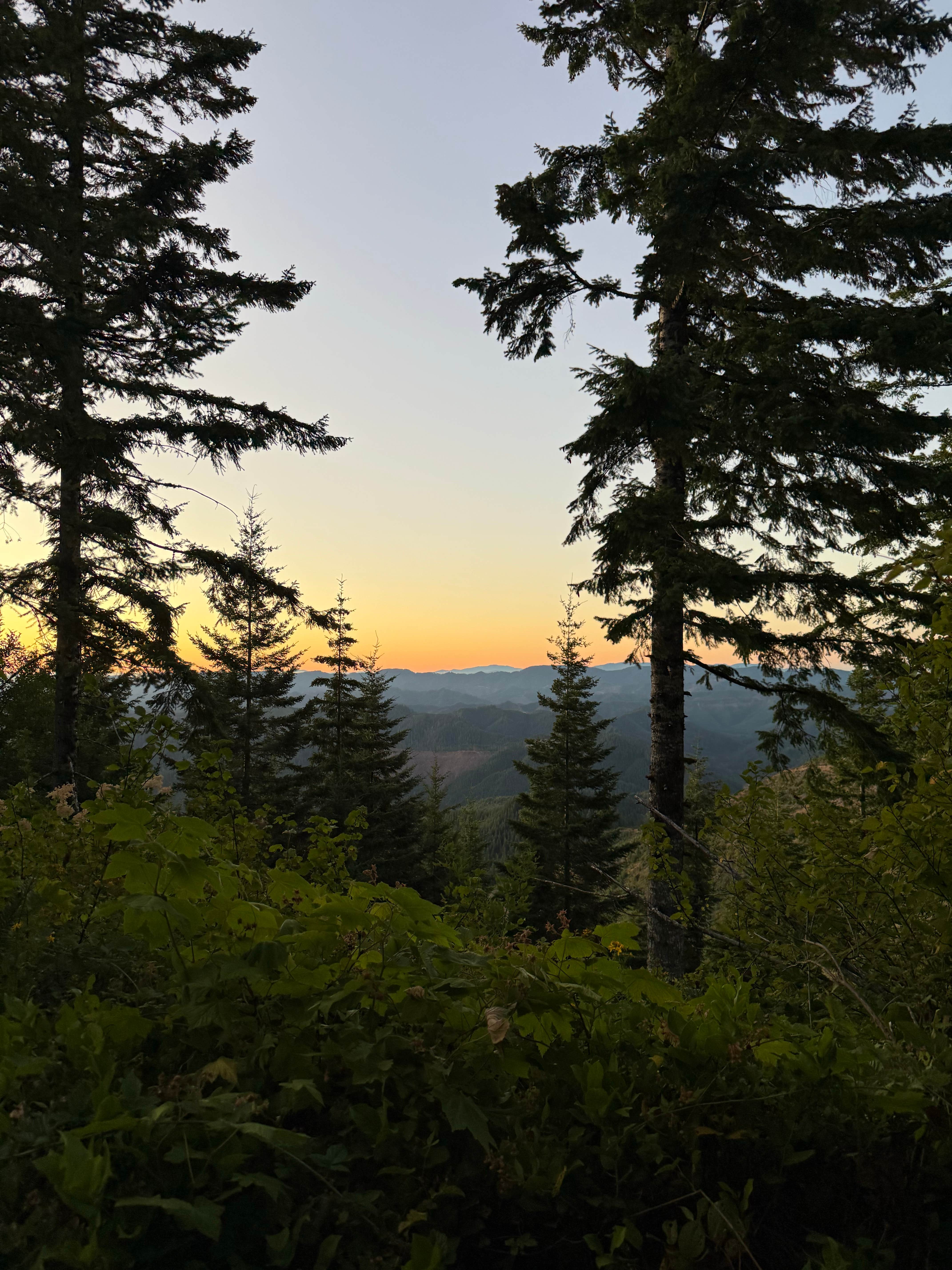 Camper-submitted photo at BLM Kentucky Falls Road near Florence, OR