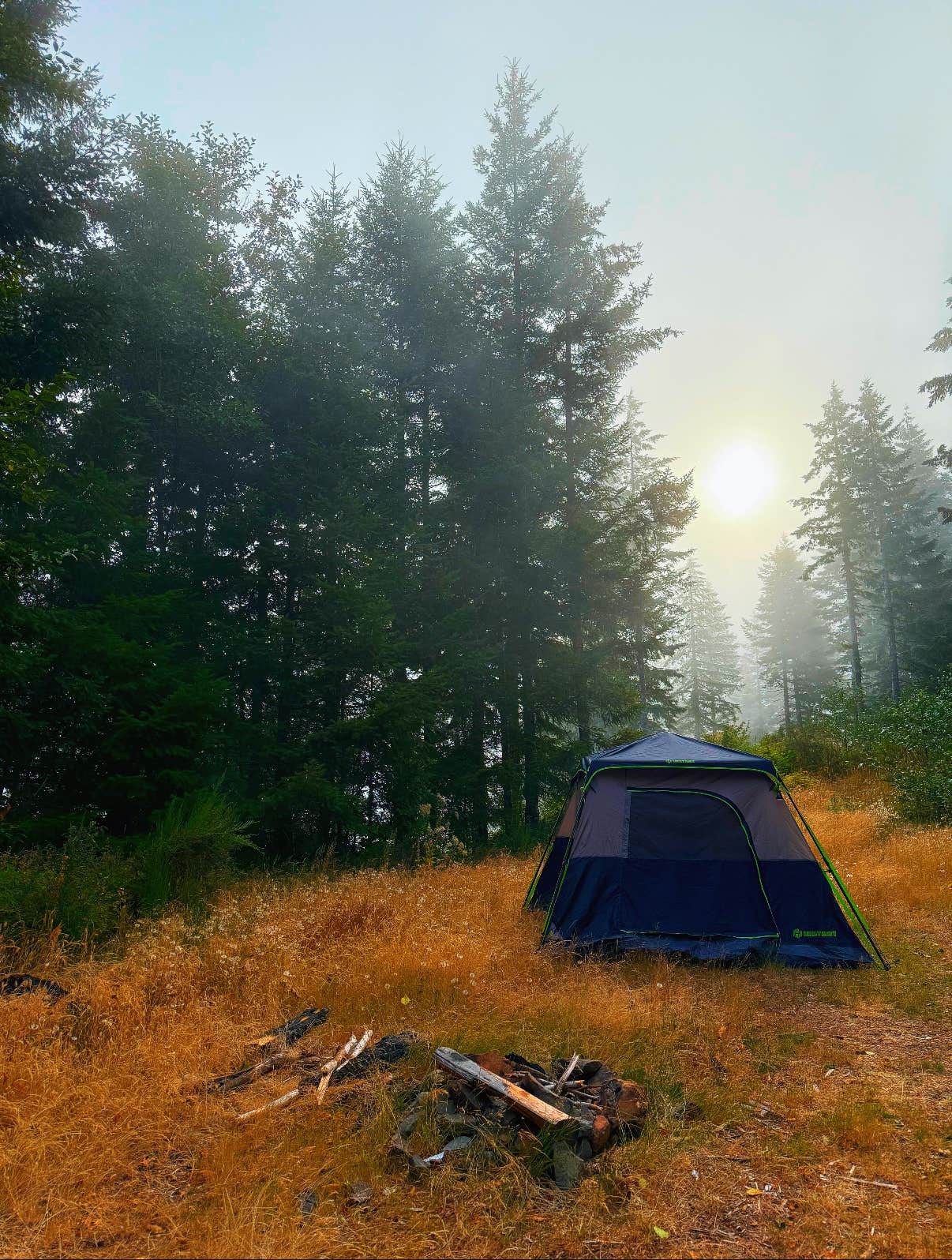 Desire R.'s photo of a dispersed camping area at BLM Kentucky Falls Road near Florence, OR