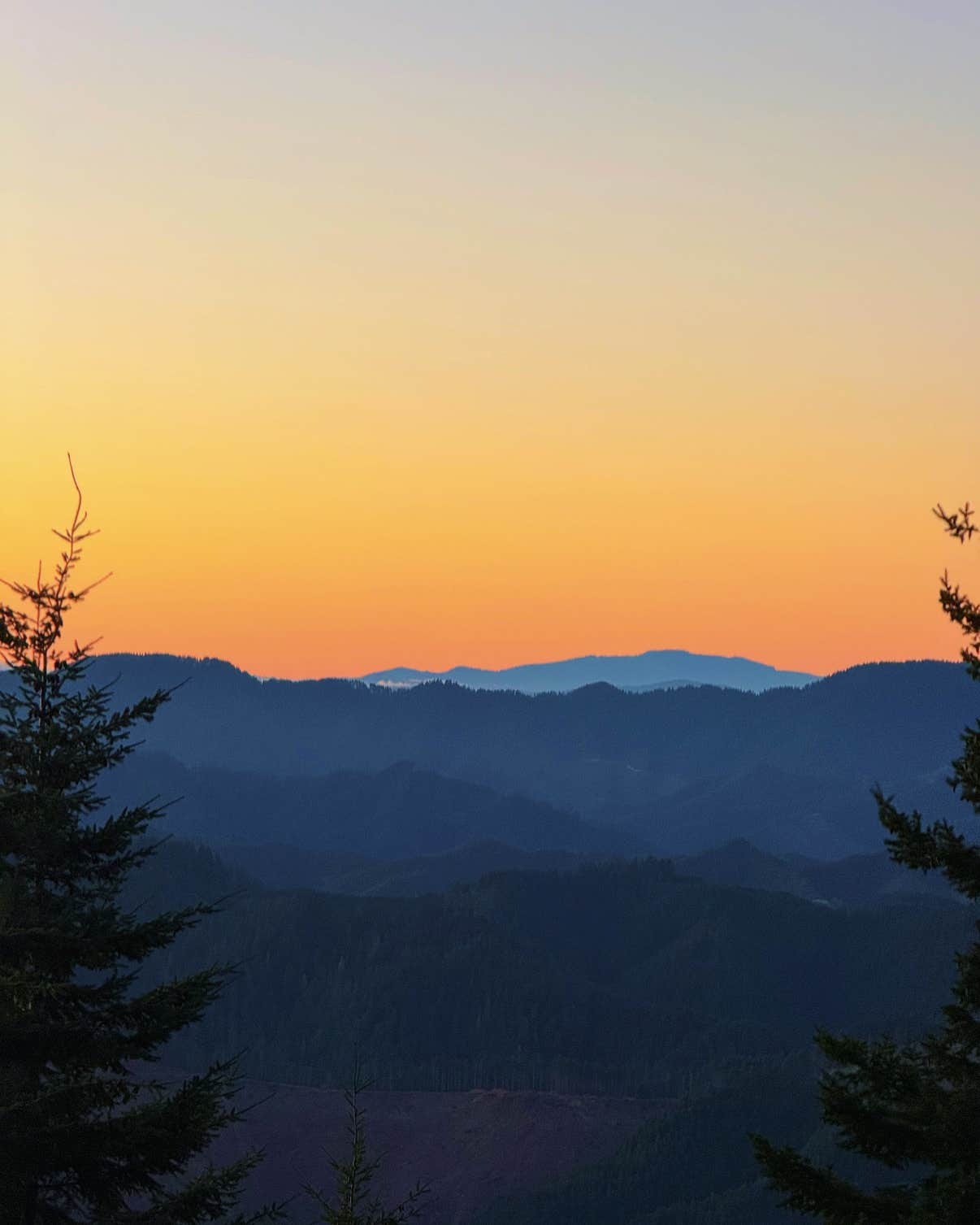 Camper-submitted photo at BLM Kentucky Falls Road near Walton, OR