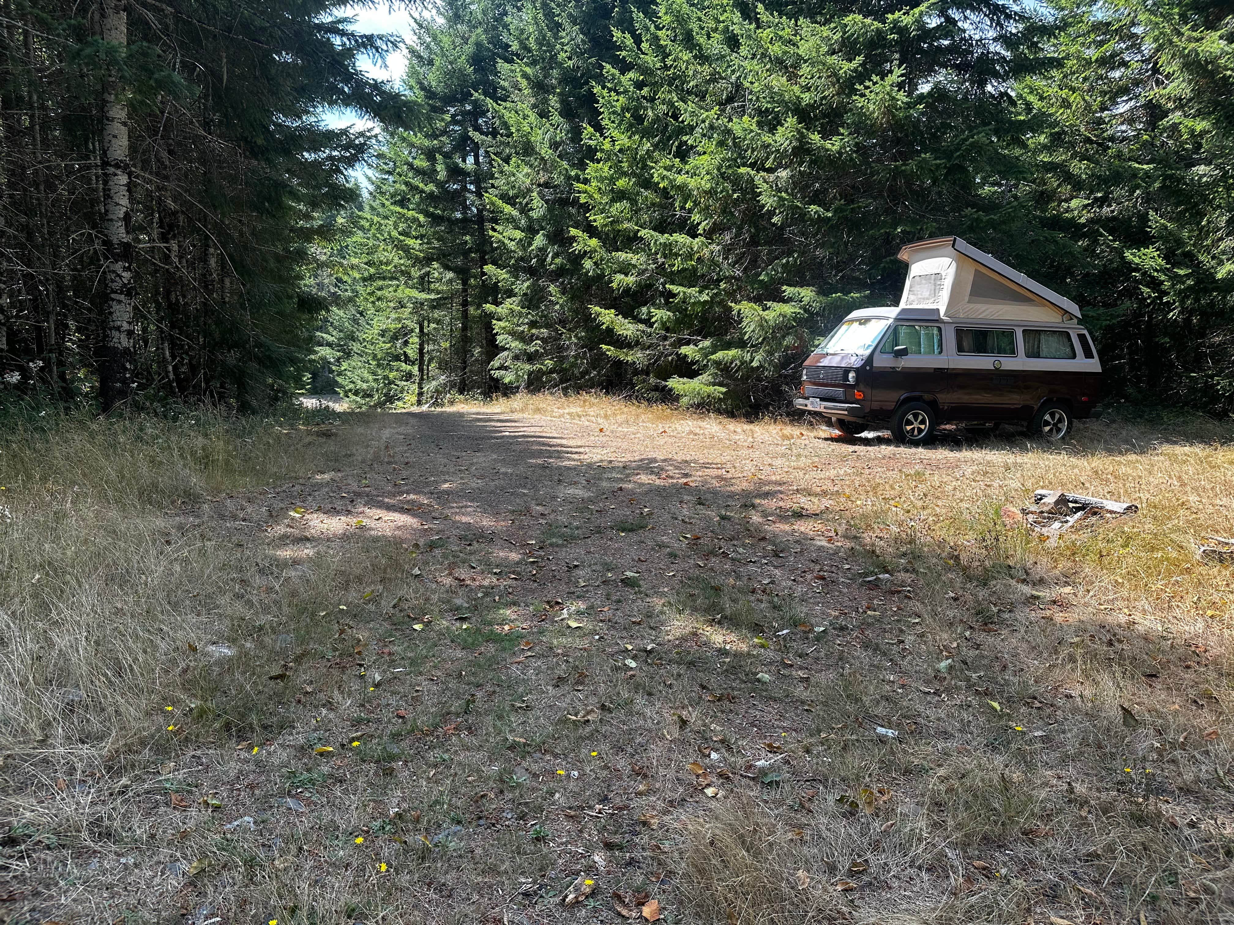 Camper-submitted photo at BLM Kentucky Falls Road near Florence, OR